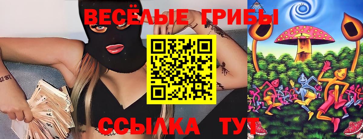 Галлюциногенные грибы MAGIC MUSHROOMS Курчалой