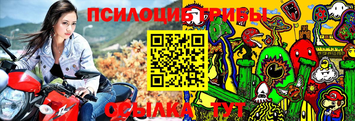 Галлюциногенные грибы мухоморы  Галлюциногенные грибы GOLDEN TEACHER  Вход с VPN  Курчалой 